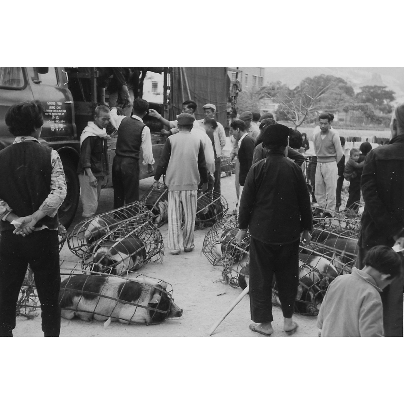 Hong Kong Agriculture Post-war (P-KFB-047)