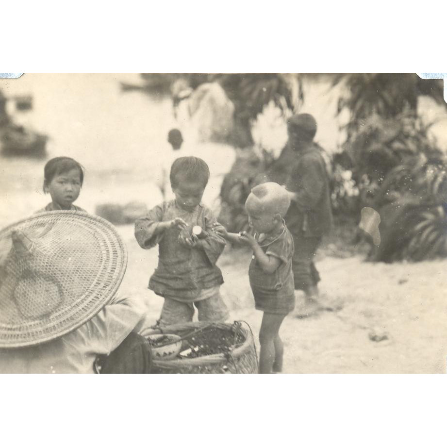 Walter Grindley Photograph Collection (P-WGC-001)